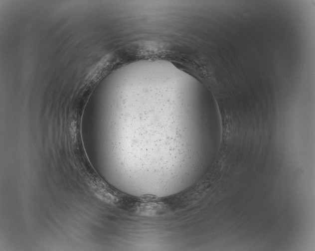 X0000076410716200610161101
