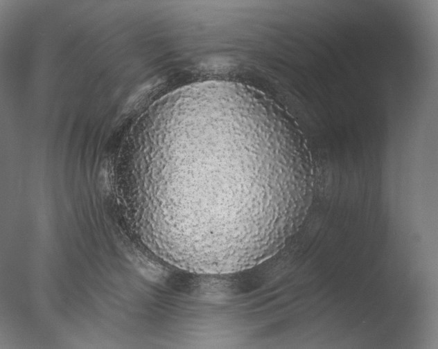 X0000076410718200610161101