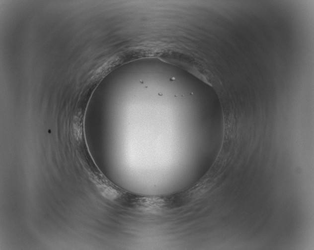 X0000076410719200610161100