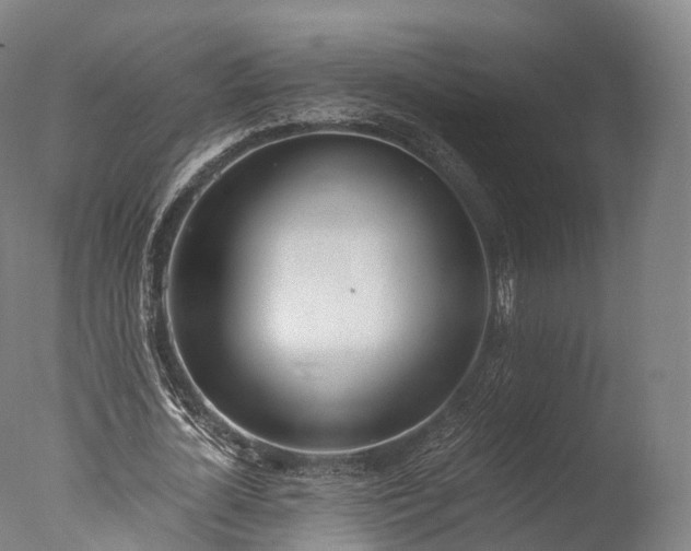 X0000076410724200610161100