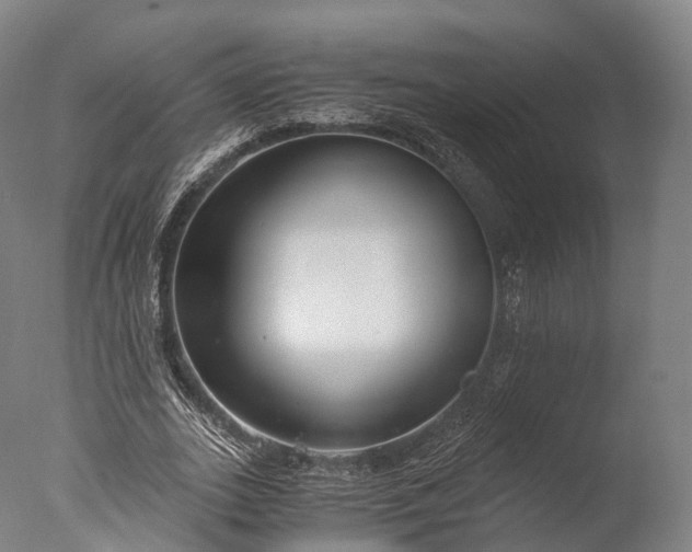 X0000076410727200610161100