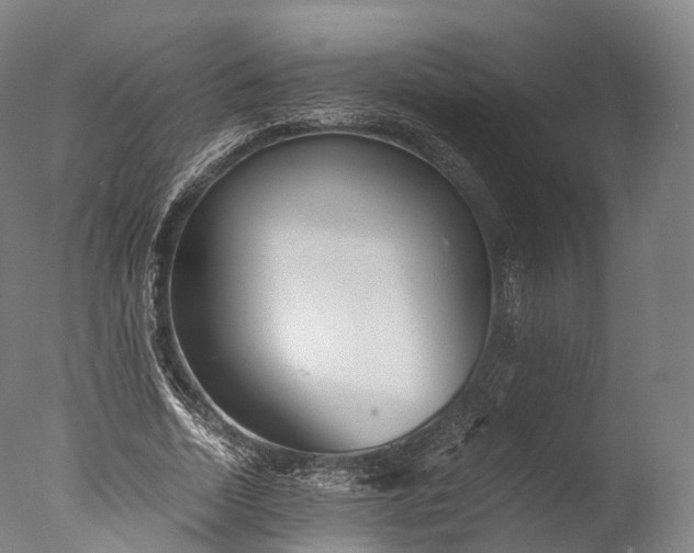 X0000076410730200610161100