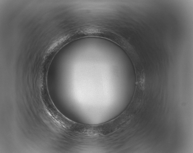 X0000076410732200610161100