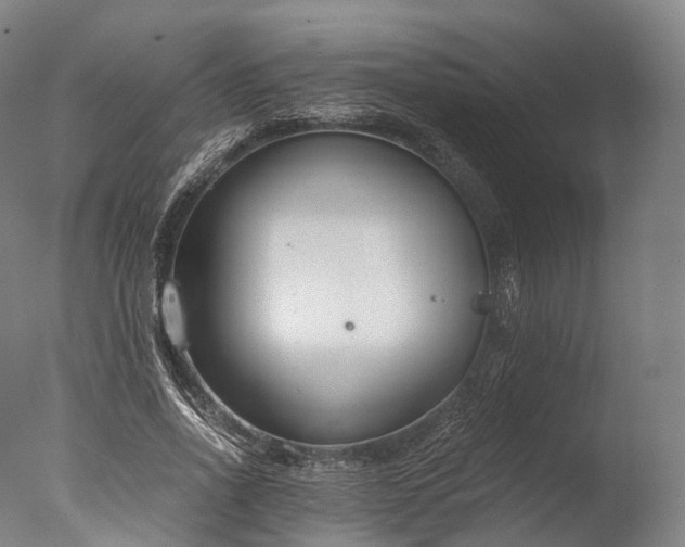 X0000076410734200610161100