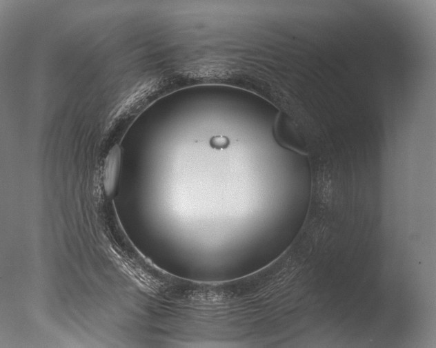 X0000076410735200610161100