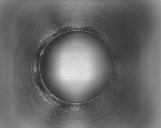 X0000076410740200610161100