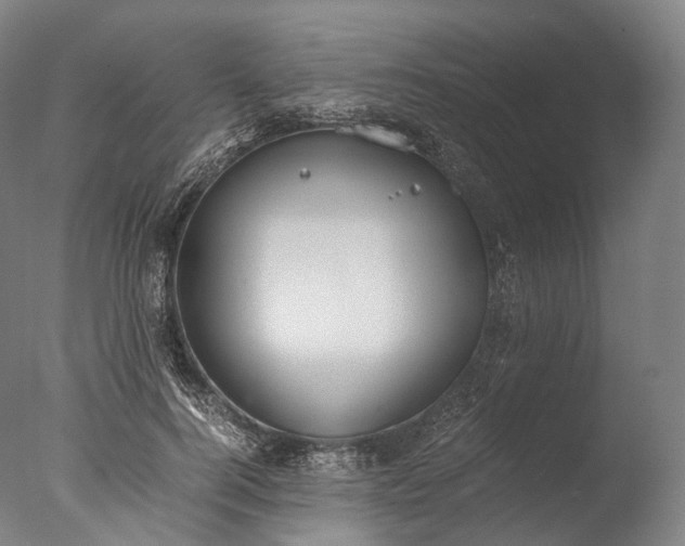 X0000076410744200610161100