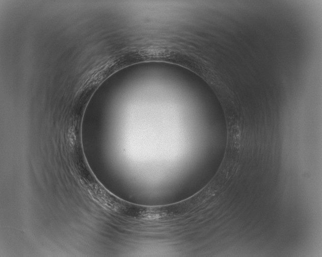 X0000076410746200610161100