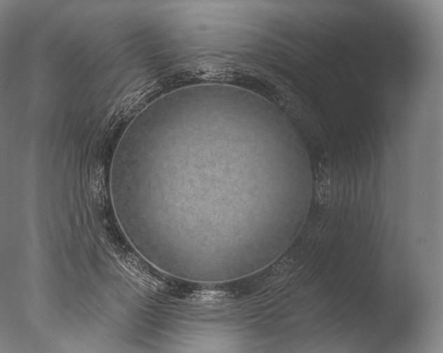 X0000076410748200610161100