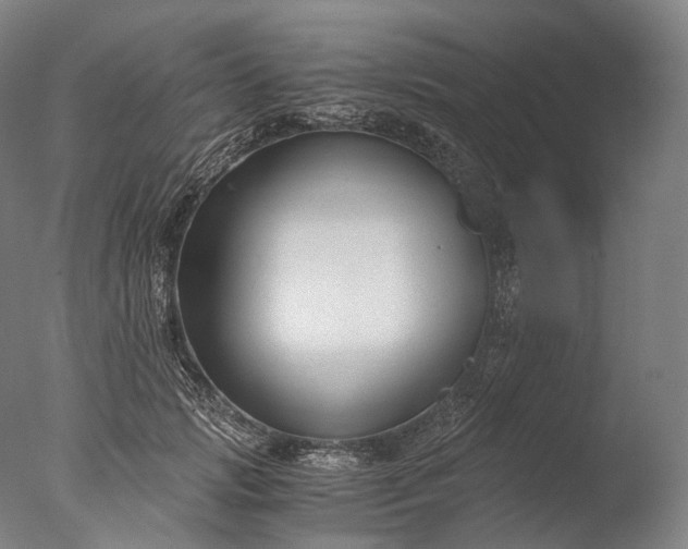 X0000076410749200610161100