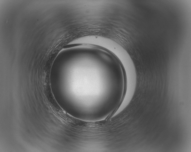 X0000076410750200610161100