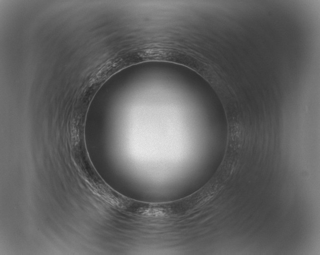 X0000076410751200610161100