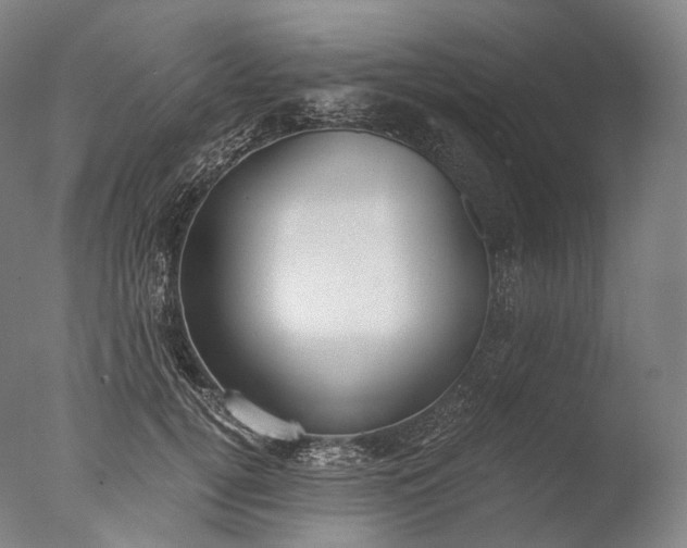 X0000076410752200610161100