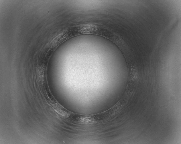 X0000076410753200610161100