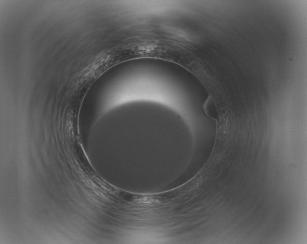 X0000076410754200610161100