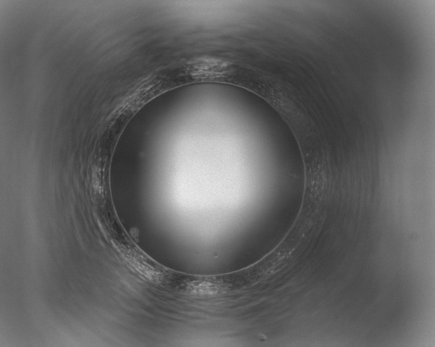 X0000076410755200610161100