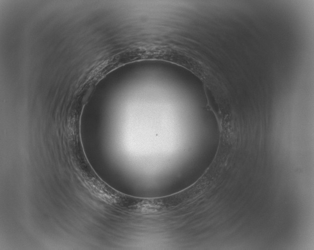 X0000076410756200610161100