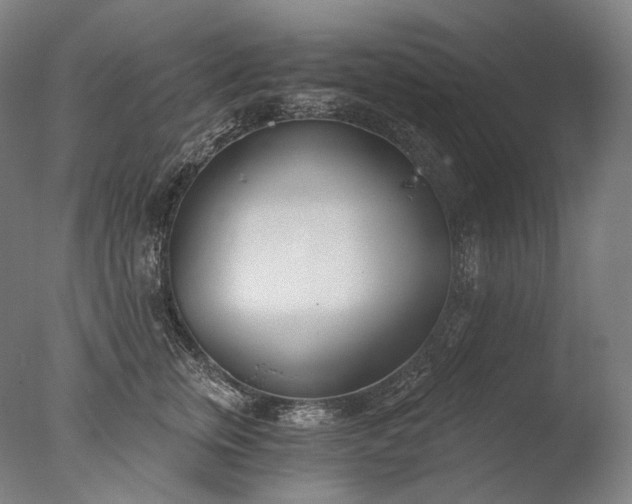 X0000076410759200610161100