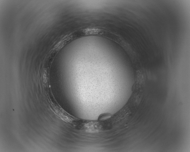 X0000076410761200610161100