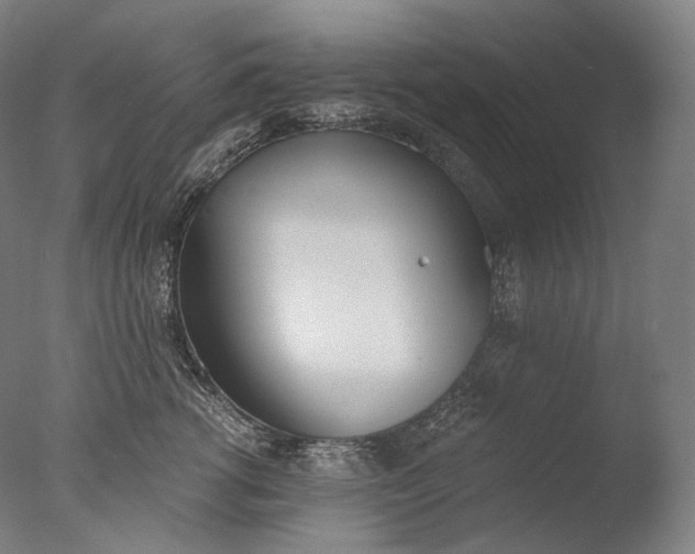X0000076410762200610161100