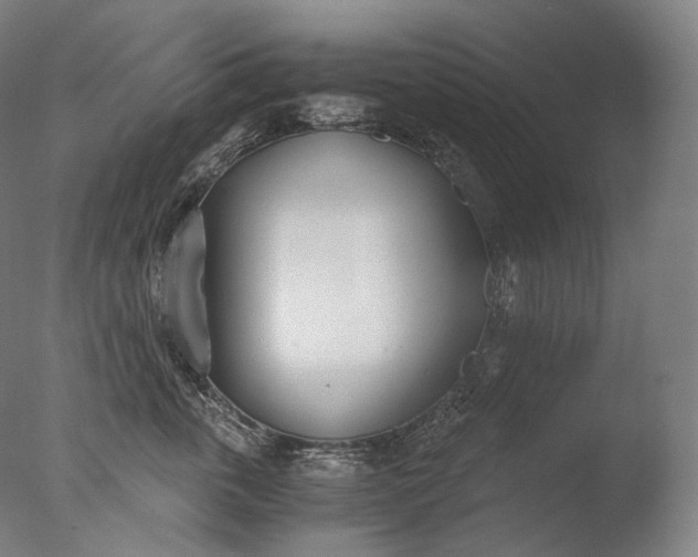 X0000076410763200610161100