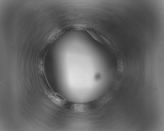 X0000076410766200610161100