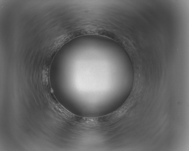 X0000076410768200610161100