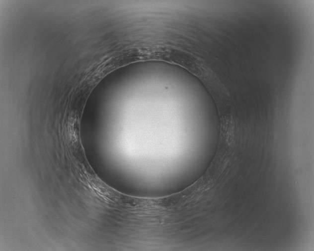 X0000076410770200610161100