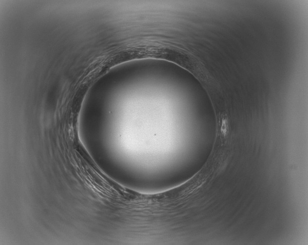 X0000076410771200610161100