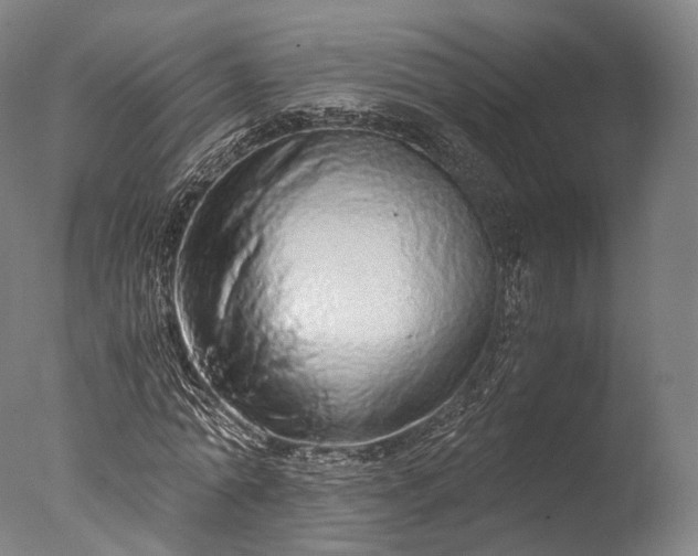 X0000076410774200610161100