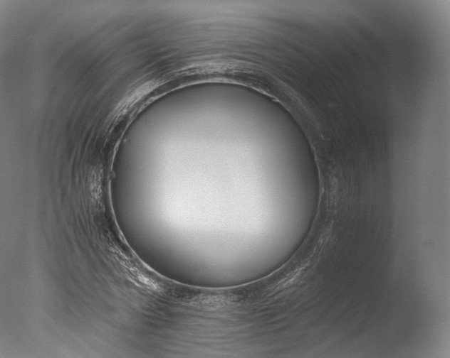 X0000076410778200610161059