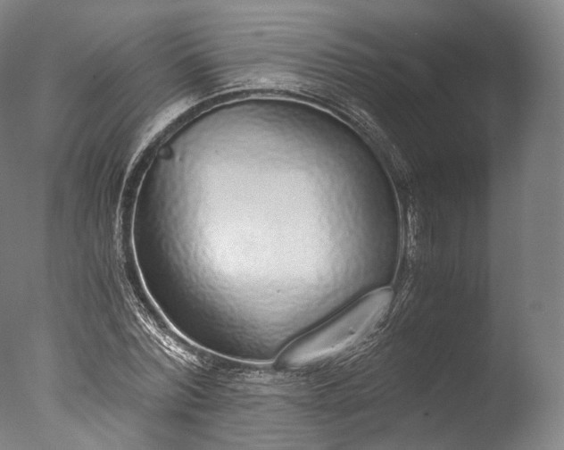 X0000076410780200610161059