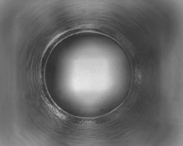 X0000076410784200610161059