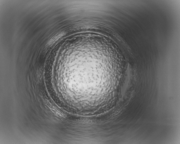X0000076410785200610161059