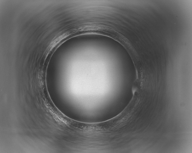 X0000076410786200610161059