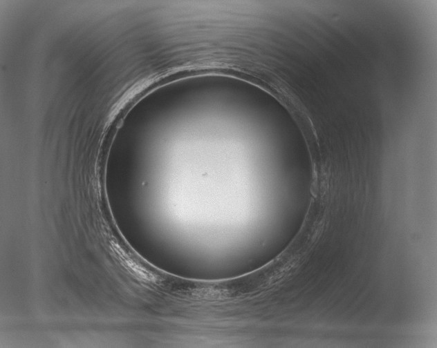 X0000076410789200610161059