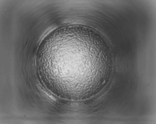 X0000076410790200610161059