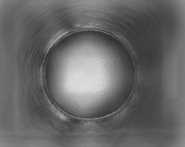 X0000076410798200610161059