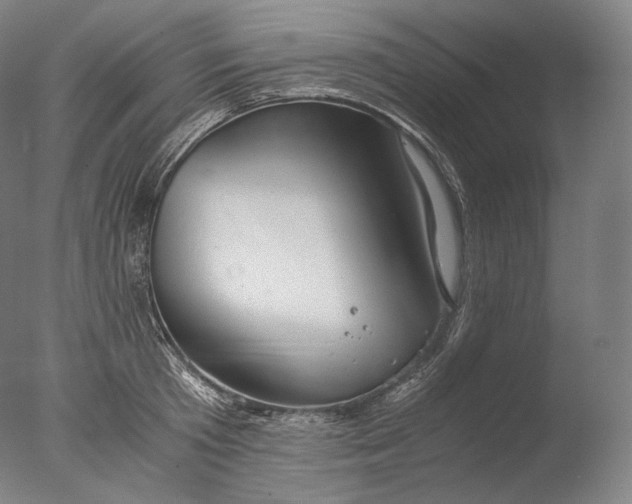 X0000076410801200610161059