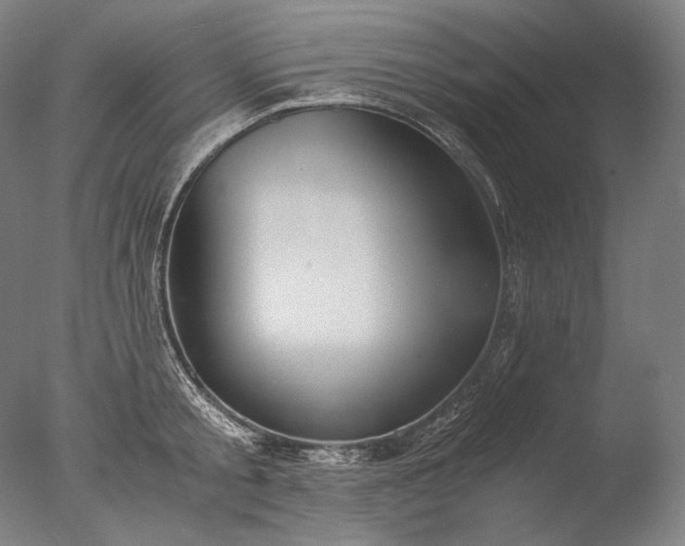 X0000076410805200610161059