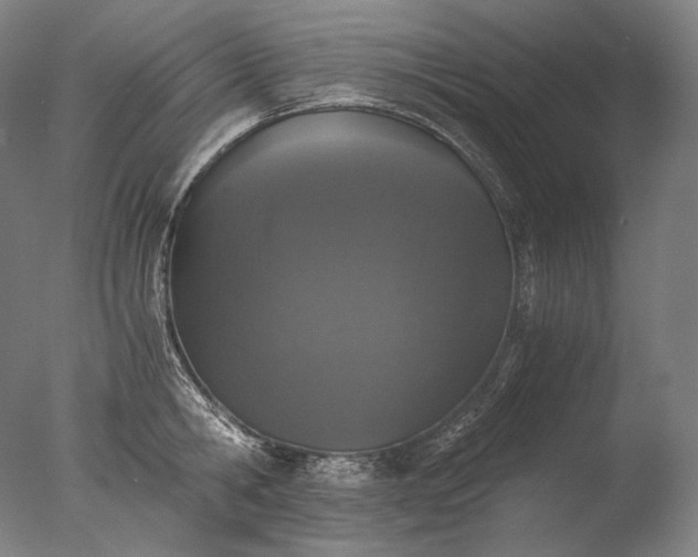 X0000076410806200610161059