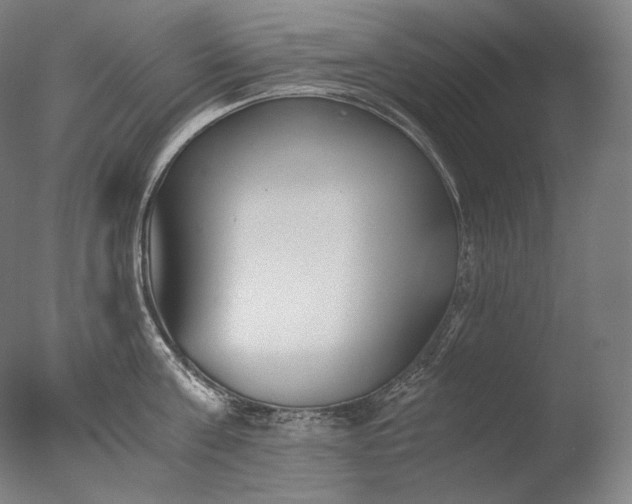 X0000076410811200610161059