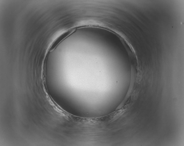 X0000076410815200610161059
