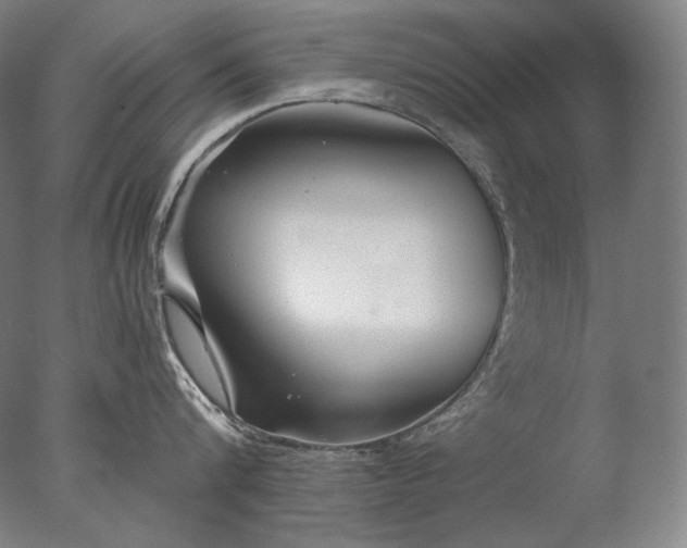 X0000076410816200610161059