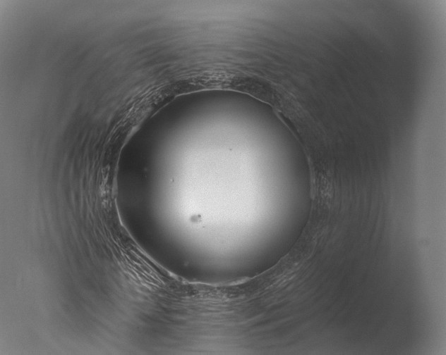 X0000076410818200610161058