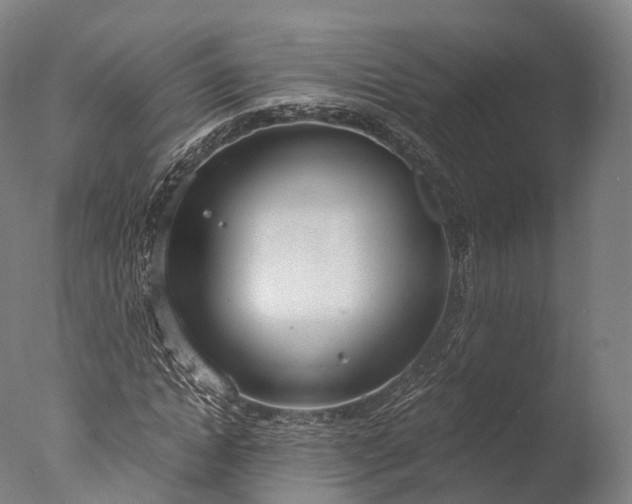 X0000076410822200610161058
