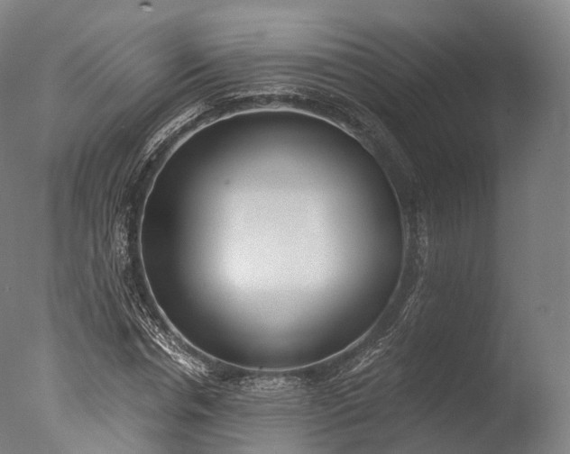X0000076410826200610161058