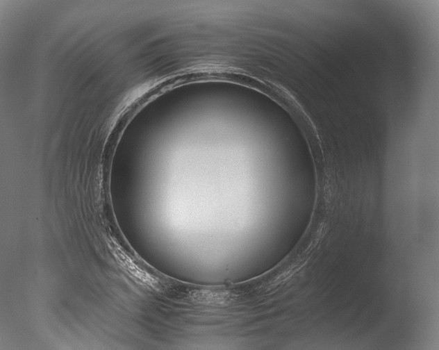 X0000076410831200610161058