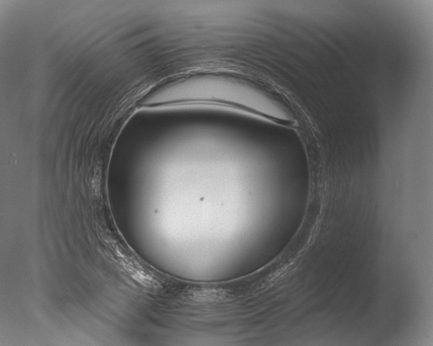 X0000076410833200610161058