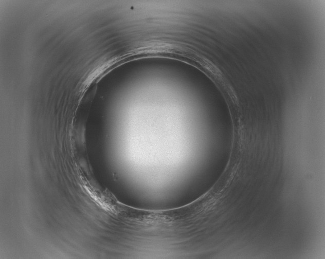 X0000076410842200610161058